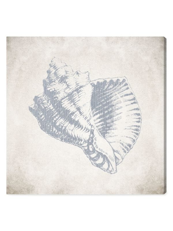 Oliver Gal Vintage Conch Canvas Wall Art Canvas Print